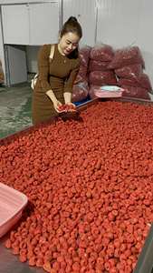 Fresas secas seleccionadas para una calidad consistente, aptas para exportación al por mayor a empresas de compras y comercio global. - Product Image 2