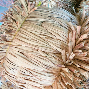 Meilleur vendeur 2025 | Matériau de jacinthe d'eau séchée Vietnam au meilleur prix sur le marché - Product Image 1