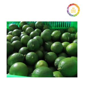 Citrons verts vietnamiens pour le commerce de gros, l'emballage d'exportation, l'utilisation industrielle dans les jus, la cuisine et les applications de services alimentaires - Product Image 3