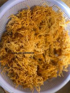 ARTICLE CHAUD!!! Mousse de mer biologique/algues de haute qualité de l'océan vietnamien // Mme Lima - Product Image 2