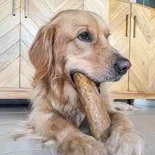 Hot Deal Coffee Wood Dog Chew Treat Your Dog to Unique Fun Coffee Wood Dog Chew Tough Safe Pet Accessories Sex Toy