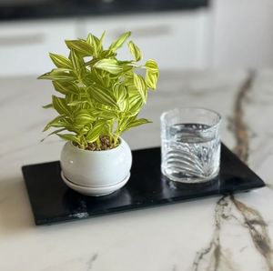 Elegant Natural Marble Oval Flat Serving Tray Artisan Crafted Waterproof Modern Home Decor - Product Image 4