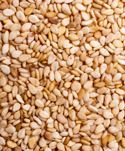 Graines de sésame blanches naturelles Exportateurs de graines de sésame Haute qualité Expédition rapide Fournisseurs de graines de sésame biologiques - Product Image 2