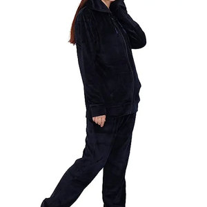 Logo personnalisé Ensemble de survêtements en velours uni deux pièces pour femmes Sweat-shirts à capuche et pantalons à fermeture éclair Ensemble de survêtements Ensemble 2 pièces - Product Image 3