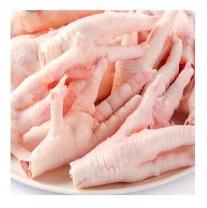 Top Quality Halal Frozen Chicken Feet | Frozen Chicken Meat For Sale At Best Price