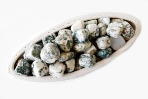 Wholesale Polished <b>Tree</b> Agate 1kg Natural Healing Tumbled Stones Semi Precious <b>Crystal</b> For Decoration Meditation - Product Image 5