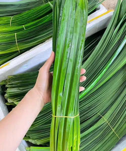 การเก็บเกี่ยว-ใบเตยสด-เวลาใดก็ได้: ความแตกต่างของ iqf ของเรา - Product Image 3