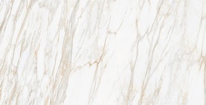 DLG 87 Brillant 60x120cm Carreaux en porcelaine de qualité supérieure Élégant Luxueux 600x1200mm pour Hall extérieur Intérieurs de salle de bains - Product Image 3