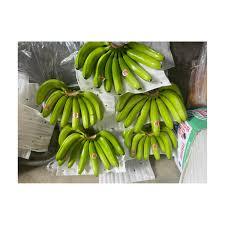 Bananes Plantain Cavendish Vertes Biologiques en Gros 20kg Prêtes à l'Exportation Chaîne du Froid - Product Image 6