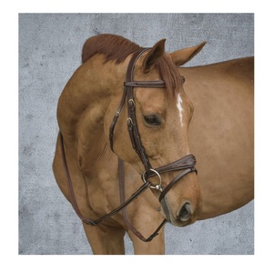 Anatomic Bridle with Slightly Contoured Padded Fancy <b>Stitched</b> Leather for Western English Saddle <b>Accessories</b> Featuring Nose Brow - Product Image 2