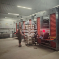 Système d'élevage avicole automatique à cage en H pour la production d'œufs