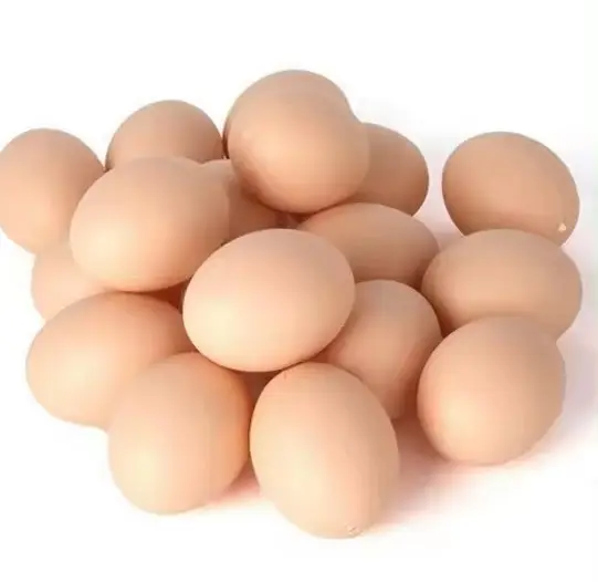 بيض طعام دجاج طازج بني وأبيض بيض دجاج صدفي للبيع بيض طعام دجاج رخيص للبيع