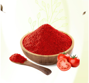 Polvo de tomate Premium para la perfección culinaria | Color de sabor natural | Hecho en Vietnam - Product Image 3