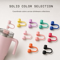 Protège-pailles en silicone personnalisé, réutilisable, couleur unie, compatible avec les pailles de 8 mm et 10 mm, antidérapant, accessoire portable pour boissons