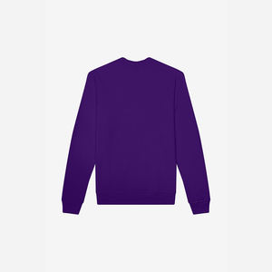 Sudadera Básica Personalizada de Manga Regular 100% Algodón para Hombre, Alta Calidad, Servicio OEM de Invierno, Diseño de Serigrafía, Bordado 3D - Product Image 6