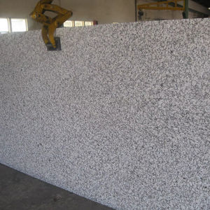 Granite Blanc Platine - 100% Naturel Durable Décoration de Sol avec des Tons Neutres et des Points Subtils pour le Salon - Product Image 1