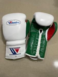 Conjunto de Boxeo de Entrenamiento Verde y Blanco de Alta Calidad, Diseño Personalizado de Fábrica, Venta al Por Mayor - Product Image 6