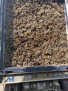 Postes de bambú natural duraderos para estructuras decorativas y diseño de eventos Postes de bambú Premium para proyectos versátiles - Product Image 3