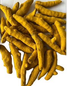 ขมิ้นนิ้วสีเหลืองแห้งจำนวนมาก - Product Image 4