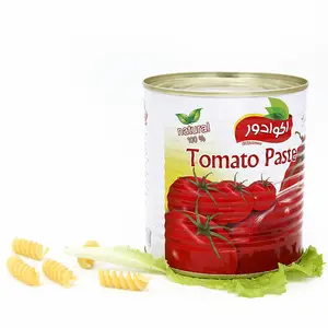 Canned High Fresh Quality Tin Tomato Paste in Drums Delicious Canned from Factory Manufacturer 70g 2200g Red Packing Packaging