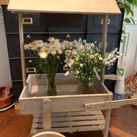 Chariots à fleurs en bois et chariots à main pour les vendeurs ambulants, présentoirs de magasin - Design moderne à faire soi-même