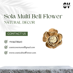 Flor de Sola Multi Beli hecha a mano de buena calidad para boda, evento, hogar, oficina, decoración y arreglo de flores secas - Product Image 4