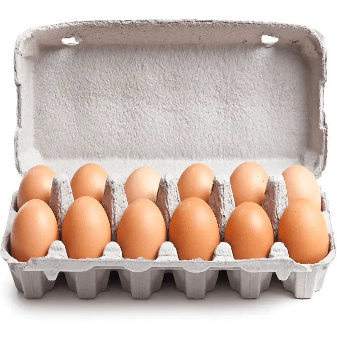 بيض طعام للبيع بالجملة | موردي بيض طيور القمح