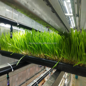 Commercial Hydroponic Fodder Container for <b>Barley</b> Grass Livestock Feed Growing in USA and Australia - Product Image 6