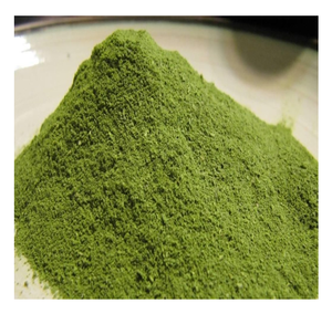 Polvo de Hojas de Pandan OEM para Empaquetado Minorista de Marca Privada y Distribución a Granel - Product Image 2