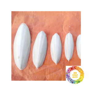 Hueso de sepia secado Natural de calidad de exportación hueso de calamar cortado secado al sol hueso de calamar procesado sin procesar para animales - Product Image 3