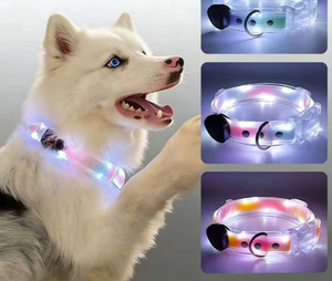 Collier et laisse pour animaux de compagnie personnalisés, réfléchissants et lumineux à LED, rechargeables par USB, sécurité nocturne pour chats et chiens - Product Image 2