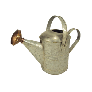 Arrosoir en métal fini galvanisé de haute qualité pour arrosoir de jardins domestiques avec bec en métal antique - Product Image 2