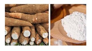 ALMIDÓN DE TAPIOCA MODIFICADO DE VIETNAM PARA LA INDUSTRIA-ALMIDÓN DE ALTA CALIDAD A PRECIO BAJO AL POR MAYOR PARA EXPORTACIÓN EN TODO EL MUNDO - Product Image 5