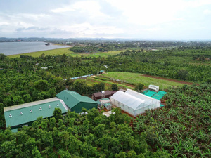 Ngay lập tức Cacao bột hộp 200g 100% Cacao bột hương vị chất lượng cao hỗ trợ sức khỏe tim mạch từ Việt Nam bao bì trong hộp OEM/ODM - Product Image 3