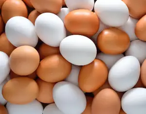 Alla rinfusa uova di pollo fresche per la vendita