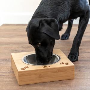 Premium quality wooden <b>cat</b> <b>bowl</b> holder adjustable wood stand for pet feeding <b>bowls</b> with cheapest price - Product Image 3