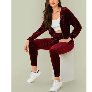 Conjunto de chándal de terciopelo para mujer con estilo, Tops cortos con logotipo personalizado y Joggers, sudadera de 2 piezas de nuevo diseñador para Yoga - Product Image 4