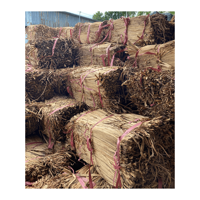 Bahan HYACINTH air untuk produk FURNITURE tenun/bundel air kering HYACINTH EICHHORNIA CRASSIPES akar