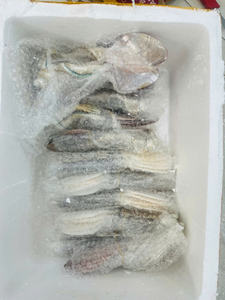 Premium Mother of Pearl Seashell Spoon for Caviar and Desserts Elegant Natural Material Ideal for Wholesale and Export - Product Image 6