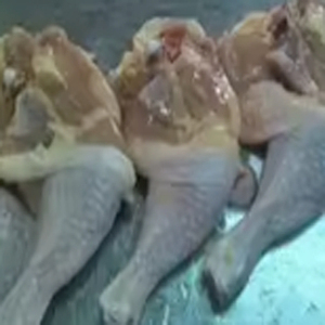 Parrilla de pollo congelada Halal orgánica de calidad superior, bajos en carbohidratos, estándares internacionales de higiene estrictamente procesados para exportación - Product Image 3