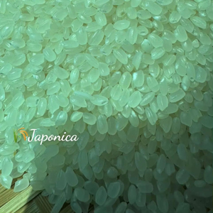 ข้าวซูชิ, ข้าวญี่ปุ่น, ข้าวเมล็ดสั้น - Product Image 3
