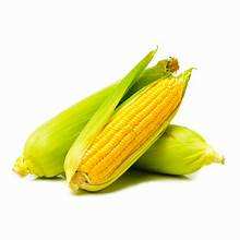 ETIQUETA LIMPIA MAÍZ DULCE CONGELADO LISTO PARA COMER COSECHA NATURAL - Product Image 6