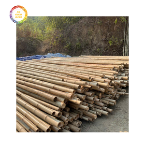 Poste de Bambú Resistente para Decoración, Trabajos Agrícolas y Creaciones de Bricolaje con Buena Calidad y Atractivo Precio Bajo - Product Image 4