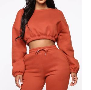 Ropa de calle recortada, sudadera de manga larga con cuello redondo para mujer, sudaderas de algodón, sudaderas lisas para mujer, sudaderas de diseñador de lana cálida - Product Image 1