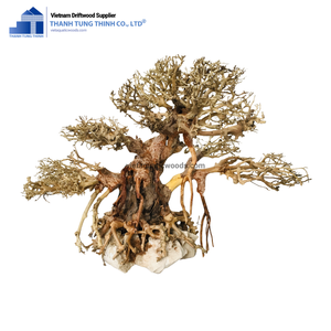 Rama de madera de deriva hecha a mano más vendida, Mopani grande para servir como planta decorativa de una fábrica vietnamita - Product Image 3