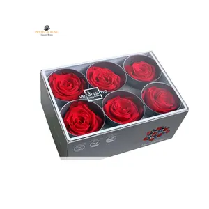 Хорошее качество роскошная стабилизированная красная роза Красивая Натуральная роза доступна по оптовой цене