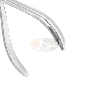 Pince JACKBILLY Schwarz pour usage orthodontique Pince dentaire de précision en acier inoxydable Applications orthodontiques professionnelles - Product Image 6