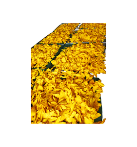 MANGO OSGANICO SECO MANGO SUAVE SECO MANGO SECO GOOD - Product Image 1