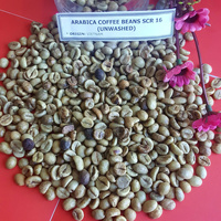 Penjualan laris biji kopi arabika hijau kualitas Premium khusus Vietnam OEM/ODM biji panggang siap untuk produk ekspor asal