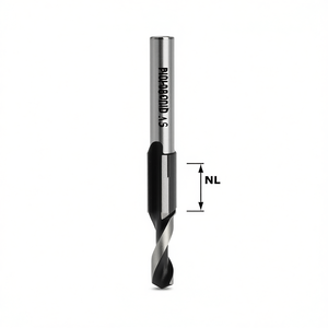 Fraise à rainurer Festool HW S8 à pointe en carbure - Product Image 2